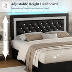 Queen Bed Frame with LED Lights, Adjustable Headboard,