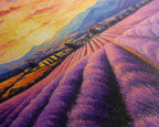 Purple Lavender Fields