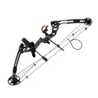 Right Handed Compound Bow Kit Adults and Teens Compound Bow Archery Hunting Equipment with 12 Arrows 30-55lbs Adjustable