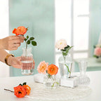 8/16 Pieces of Modern Transparent Glass Vase Set, Small Mini Flower Center Vase,