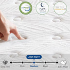 14 Inch Hybrid California Mattress in a Box, Pocket Spring and Memory Foam for Pressure Relief,