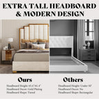 Queen Upholstered Velvet Platform Bed with Gold Trim Headboard