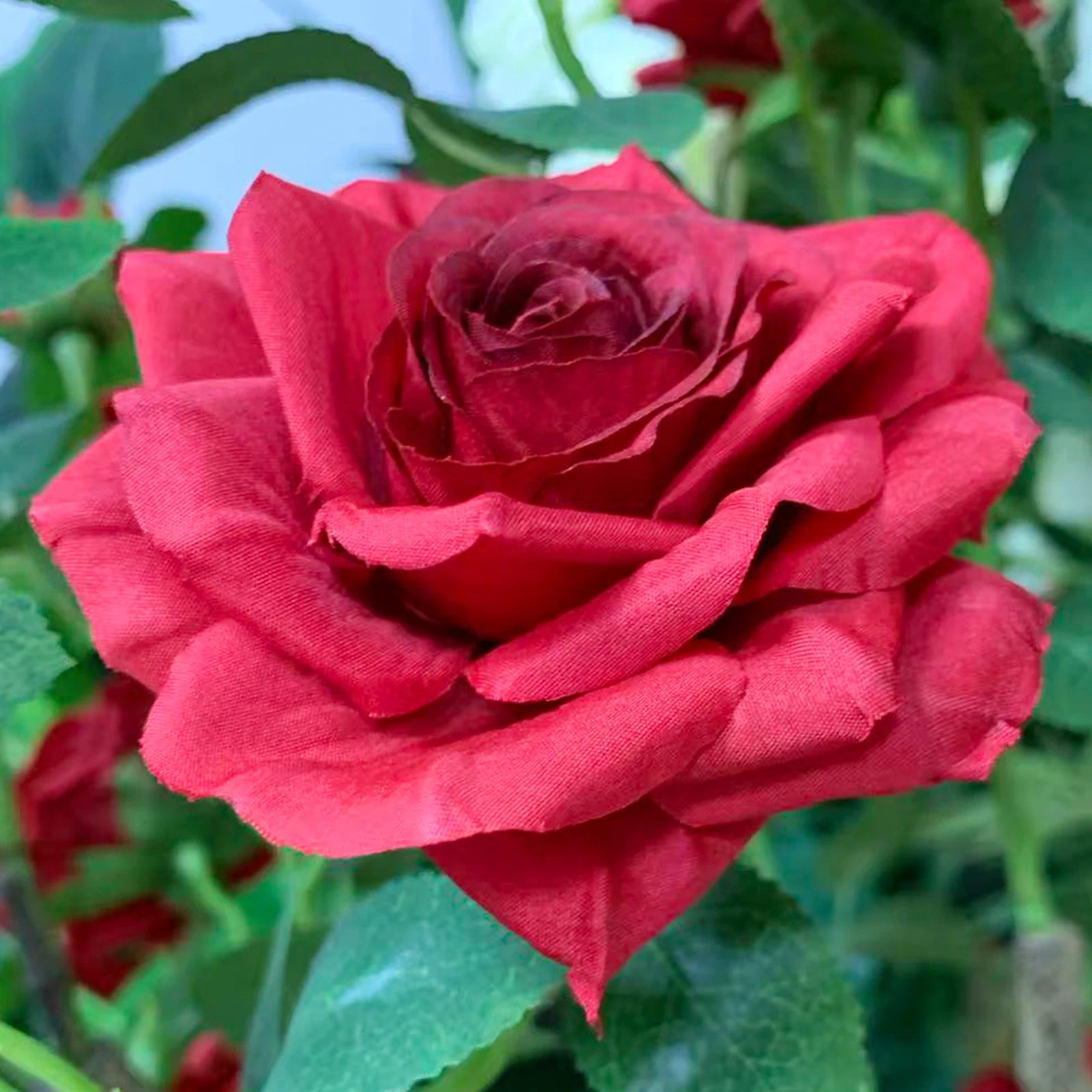 150cm Artificial Rose Tree, Realistic Silk Flower Plant with Plastic Trunk in Decorative Pot, for Indoor & Covered Outdoor Decor