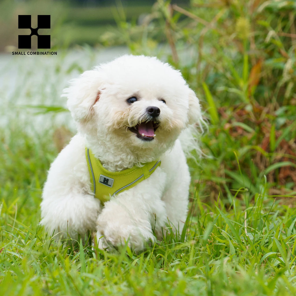 Dog Harness Leash Set for Small Medium Dog Adjustable Reflective Puppy Cat Harness