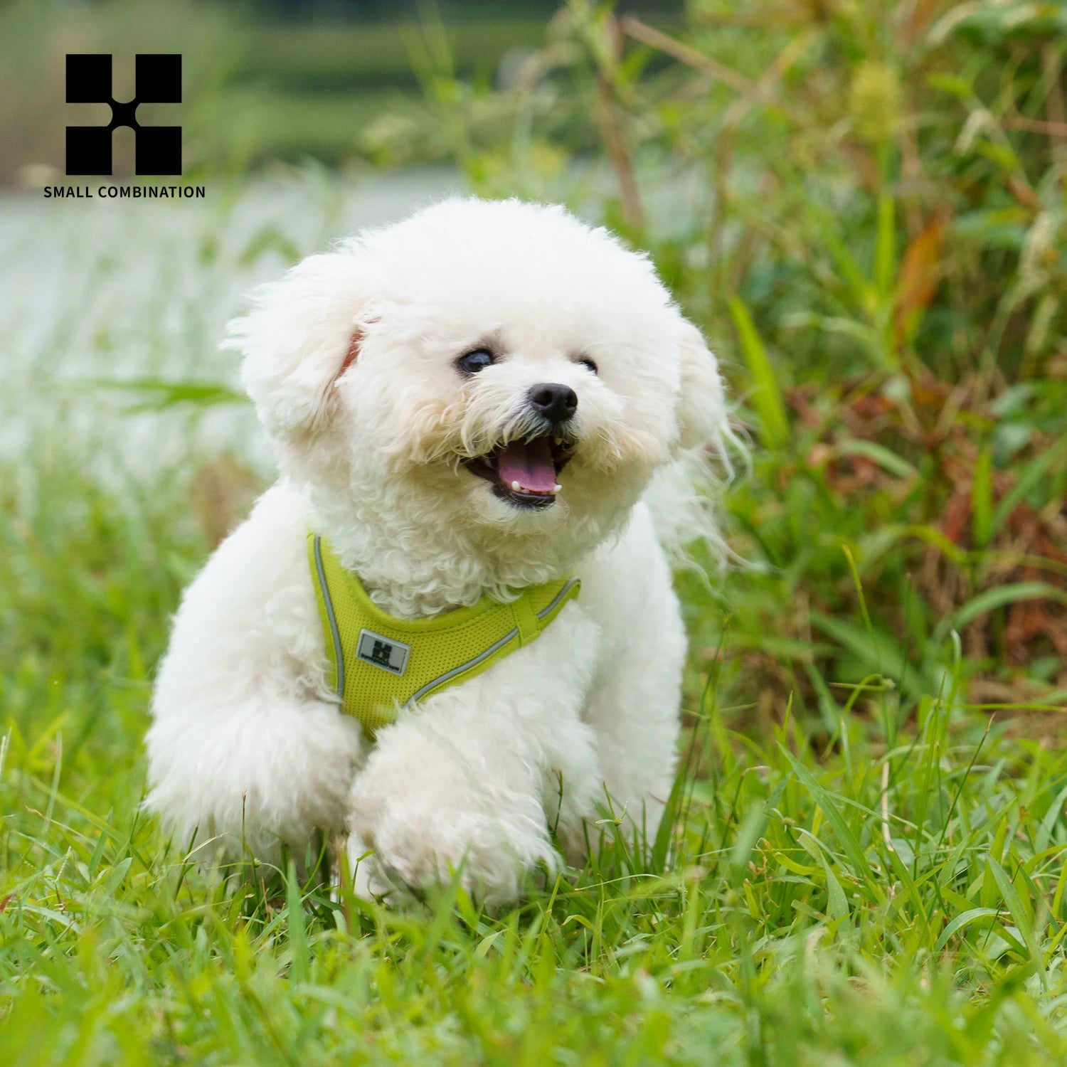 Dog Harness Leash Set for Small Medium Dog Adjustable Reflective Puppy Cat Harness