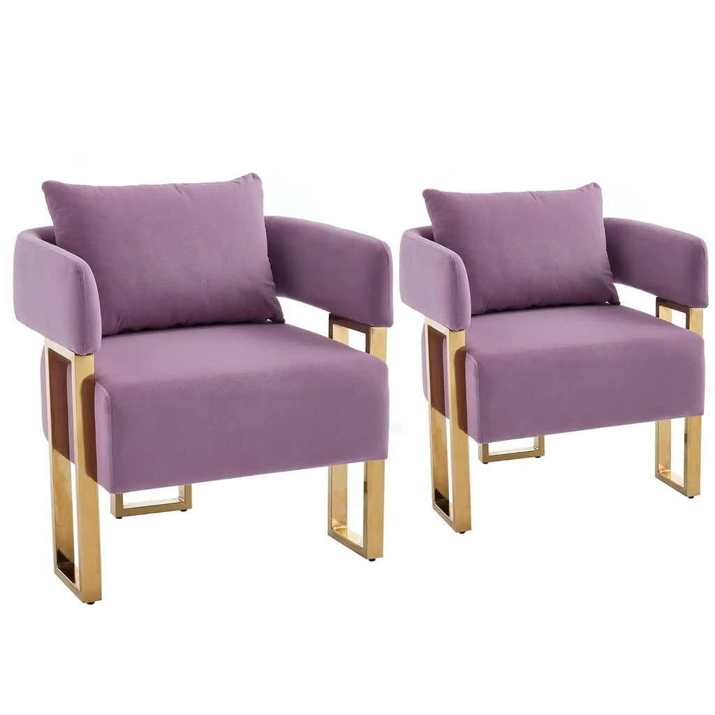 Modern Barrel Accent Chairs 2pcs Upholstered Gold Legs