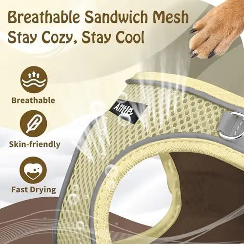 Comfortable Padded Vest, Easy Fit For Small/Medium Pets